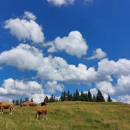 Prázdninový dům Koca Lipa Pod Veliko Planino *
