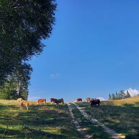 Koca Lipa Pod Veliko Planino *