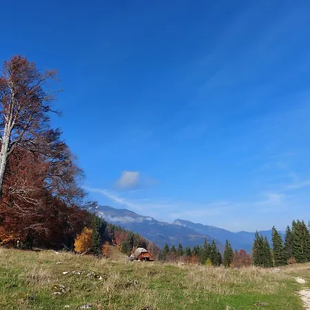 Koca Lipa Pod Veliko Planino Holiday home