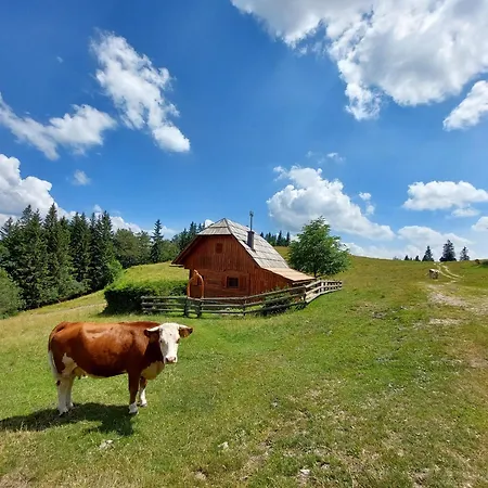 Сasa de vacaciones Koca Lipa Pod Veliko Planino Luče