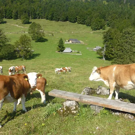 Koca Lipa Pod Veliko Planino Prázdninový dům