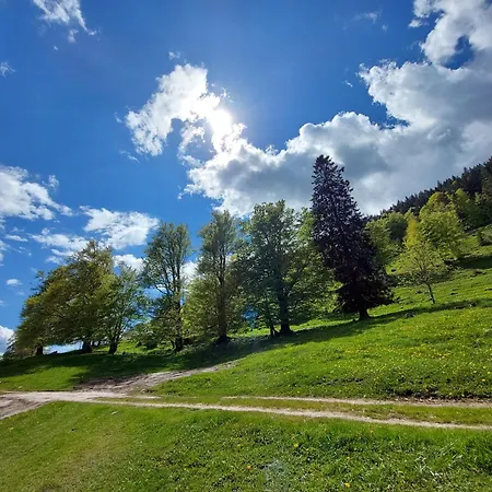 Prázdninový dům Koca Lipa Pod Veliko Planino