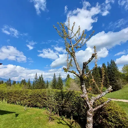 Koca Lipa Pod Veliko Planino Hébergement de vacances *