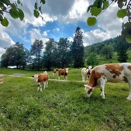 Koca Lipa Pod Veliko Planino 度假居 Luče