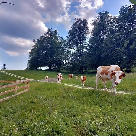 Сasa de vacaciones Koca Lipa Pod Veliko Planino *