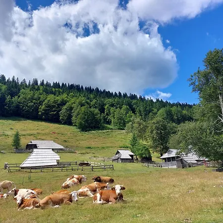 Vikendica Koca Lipa Pod Veliko Planino Luce