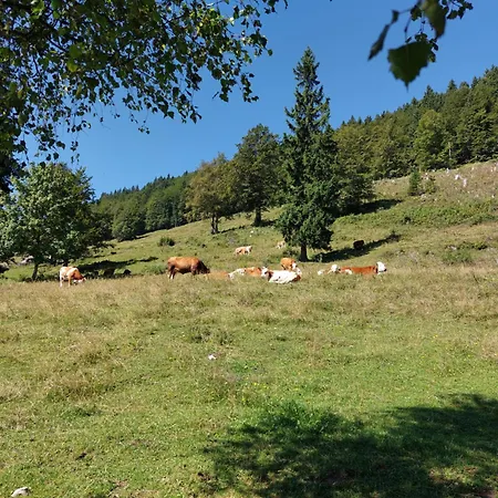 Сasa de vacaciones Koca Lipa Pod Veliko Planino
