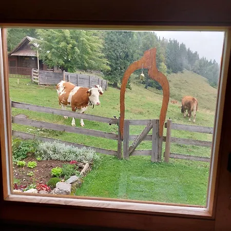 Hébergement de vacances Koca Lipa Pod Veliko Planino