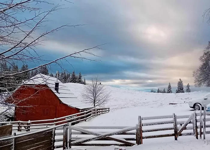 Koca Lipa Pod Veliko Planino Luče