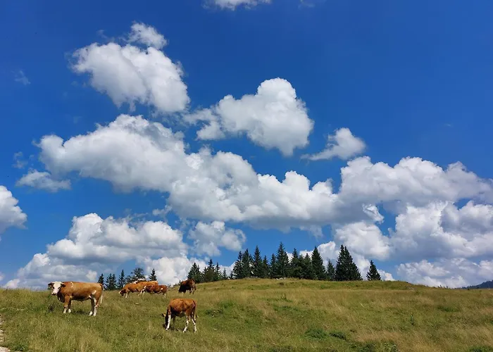 Casa vacanze Koca Lipa Pod Veliko Planino *
