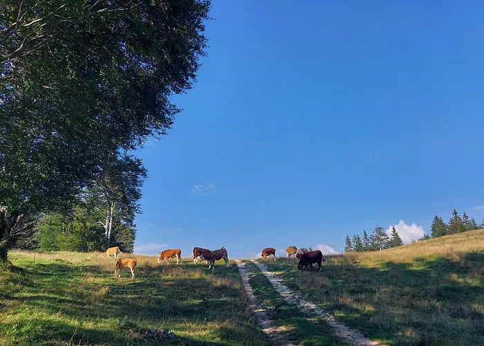 Koca Lipa Pod Veliko Planino *