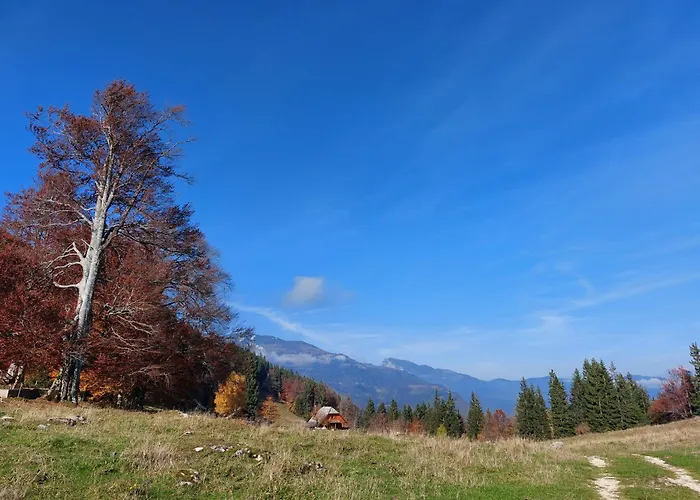 Koca Lipa Pod Veliko Planino Casa vacanze