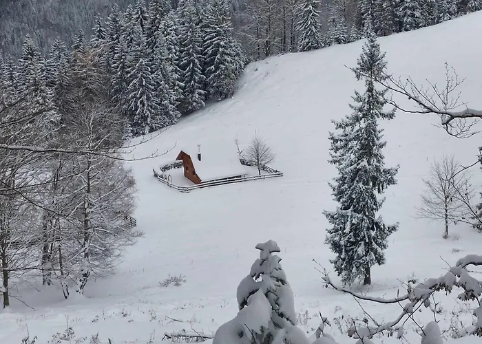 Casa vacanze Koca Lipa Pod Veliko Planino