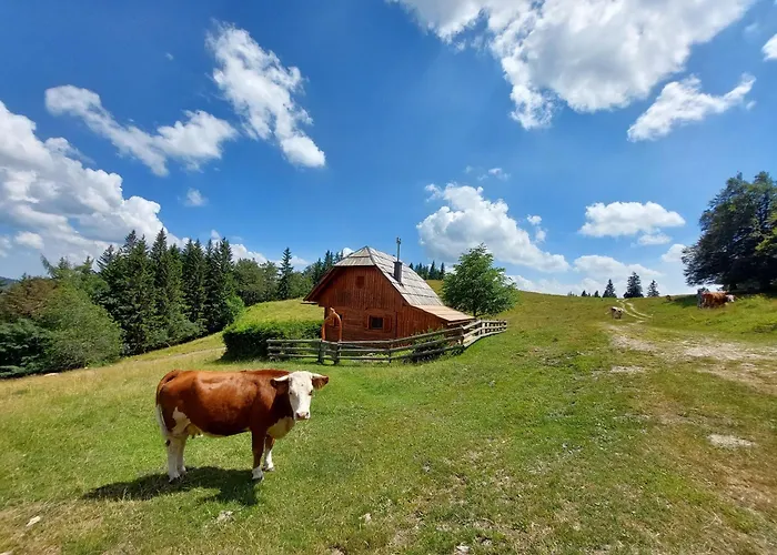 Casa vacanze Koca Lipa Pod Veliko Planino Luče
