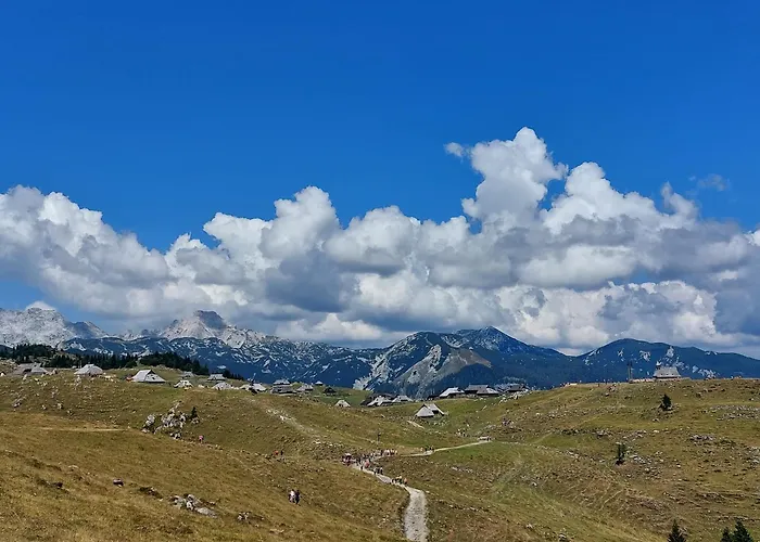 Koca Lipa Pod Veliko Planino Casa vacanze *