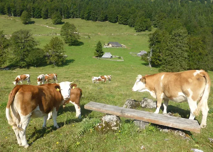 Koca Lipa Pod Veliko Planino Casa vacanze