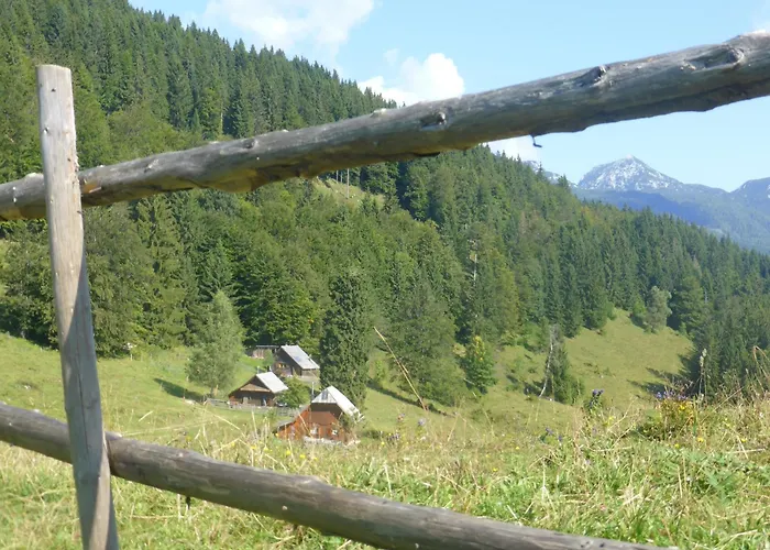 Koca Lipa Pod Veliko Planino * Luče