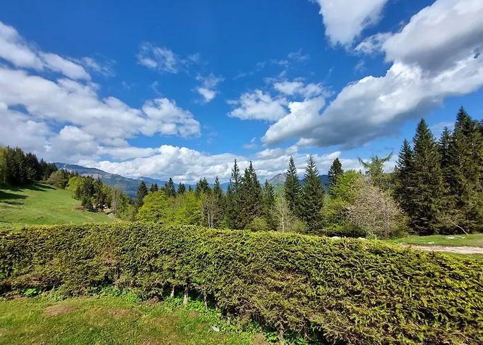 Koca Lipa Pod Veliko Planino *