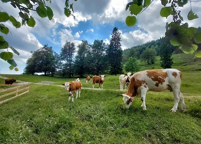 Koca Lipa Pod Veliko Planino Casa vacanze Luče