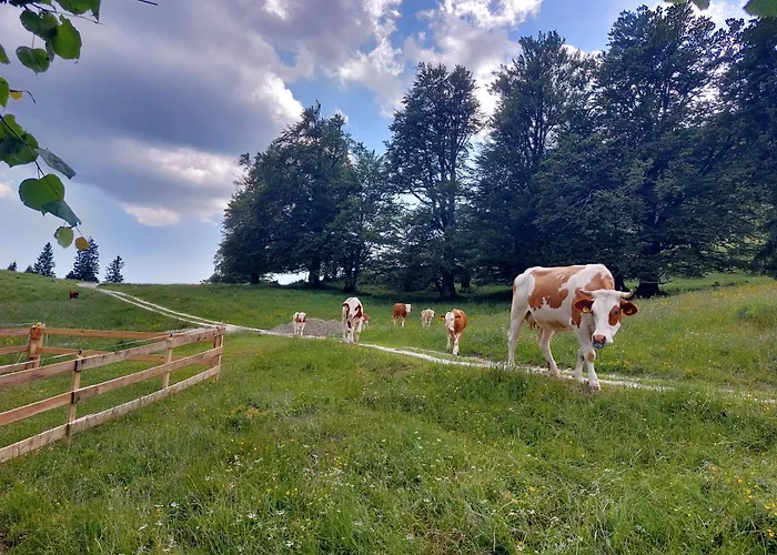 Casa vacanze Koca Lipa Pod Veliko Planino *