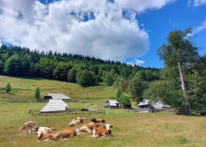 Casa vacanze Koca Lipa Pod Veliko Planino Luče