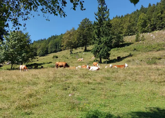 Casa vacanze Koca Lipa Pod Veliko Planino